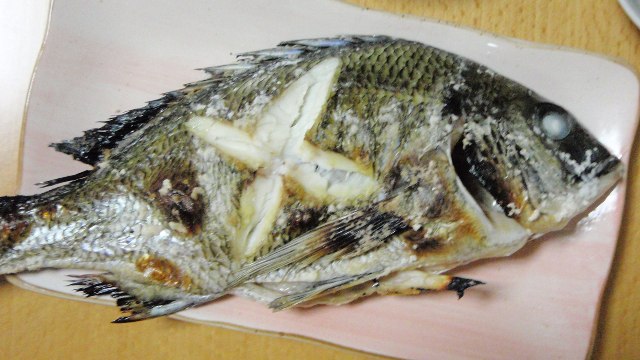 黒鯛 チヌ の塩焼き 魚料理を極めろ