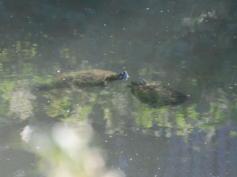 e0189021_22421020.jpg