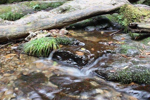 e0162524_1921027.jpg