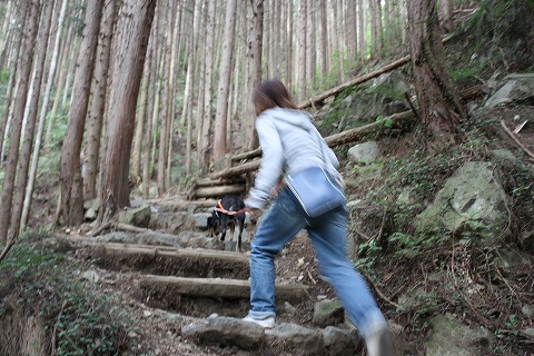 マヌカ、御岳山へ行く～後編～_e0162524_193078.jpg