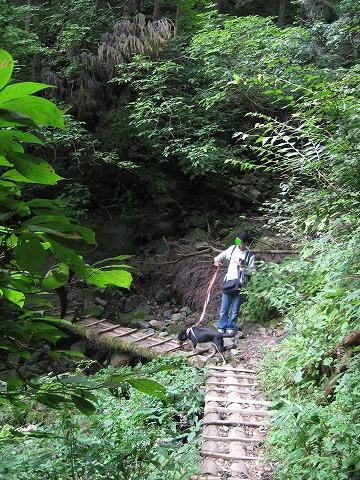 マヌカ、御岳山へ行く～後編～_e0162524_22341211.jpg