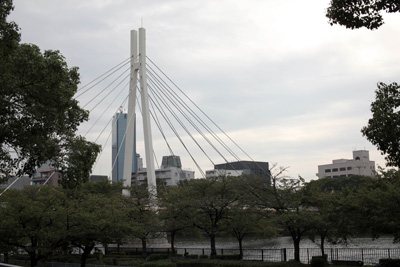 c0064025_1134276.jpg
