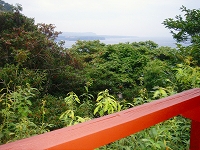 d0139827_13303318.jpg