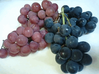 d0048332_10251420.gif