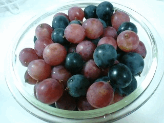 d0048332_2345714.gif