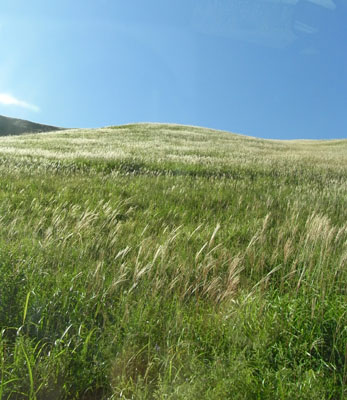 c0161233_23533142.jpg