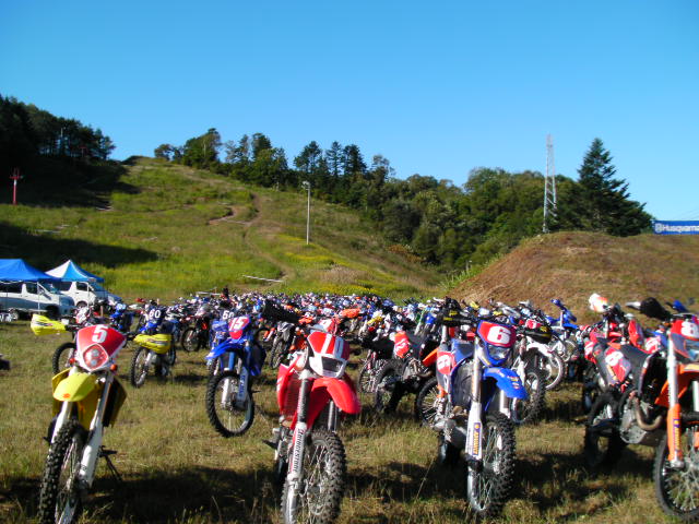 d0111435_21503048.jpg