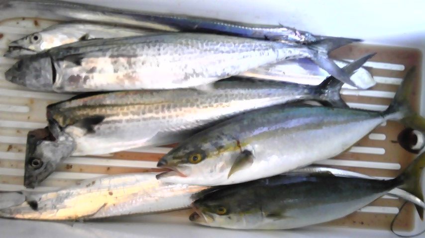 f0009238_16375086.jpg