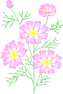 a0029347_8343130.gif