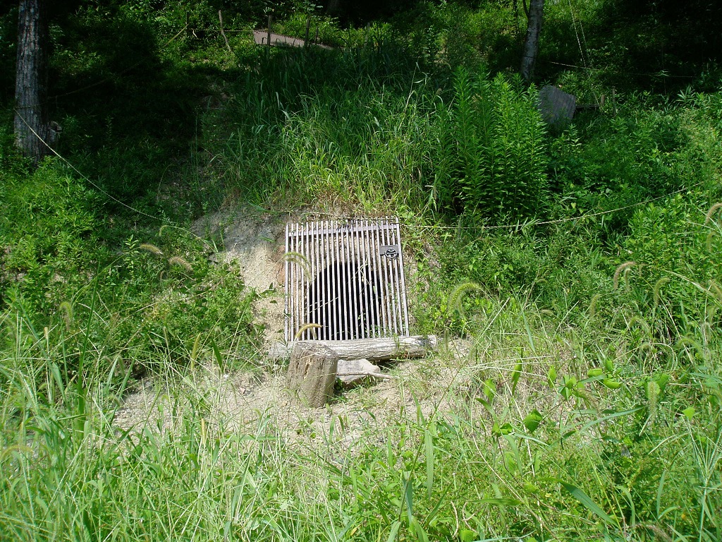 c0107149_659476.jpg