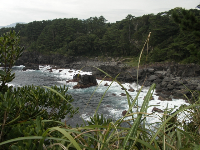 d0141349_2375235.jpg