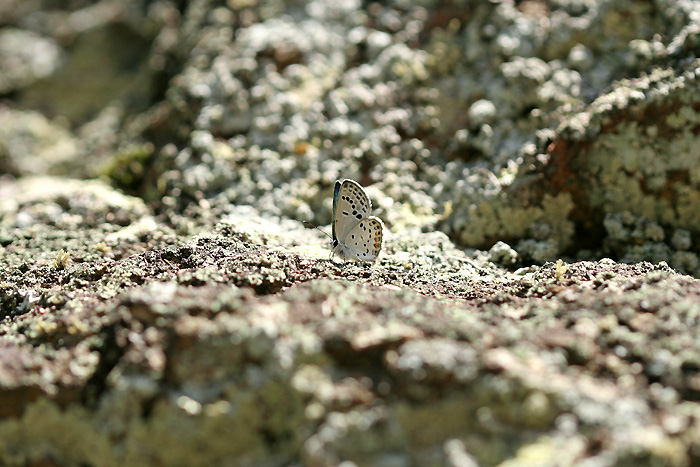 e0156157_18123834.jpg