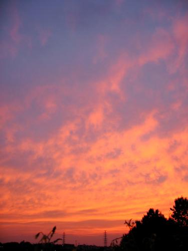 c0206559_16392359.jpg