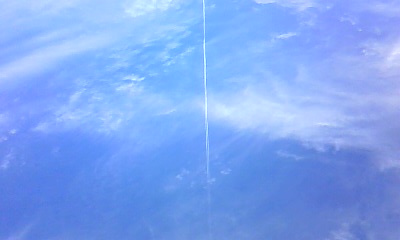 c0144260_1175068.jpg