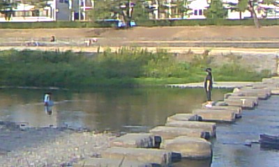 c0144260_121759.jpg