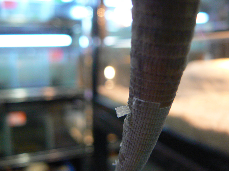 d0132063_49108.jpg