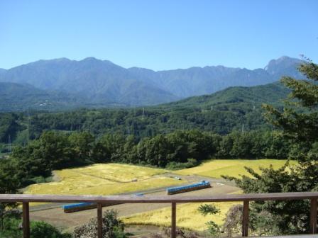 今の畑 9月3週目 2009_d0152765_21154127.jpg