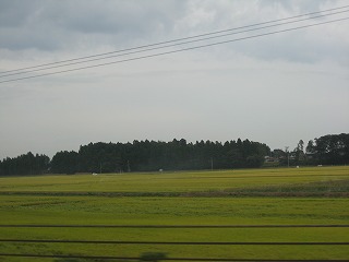 e0160568_11115058.jpg