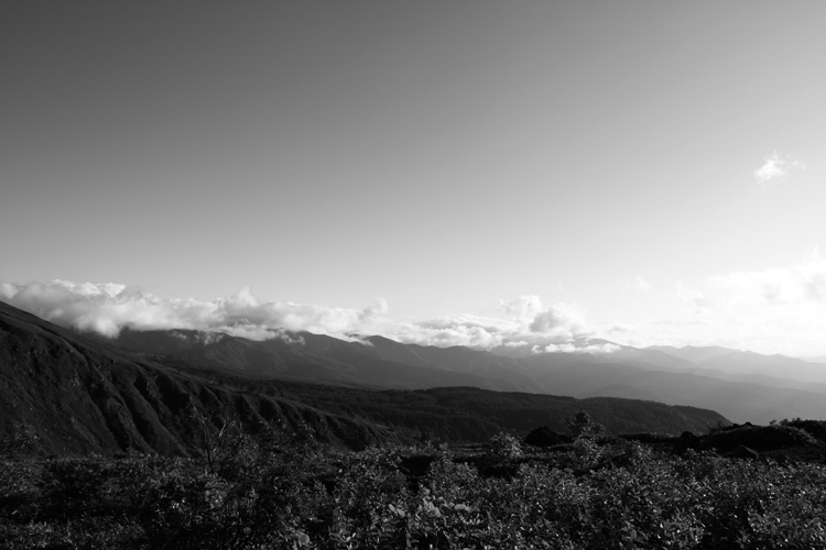 c0054876_181540100.jpg