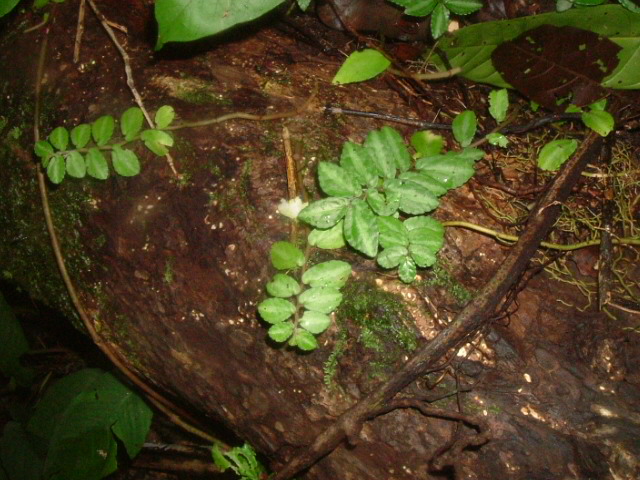 a0067578_09871.jpg