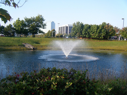 a0128290_23154589.jpg
