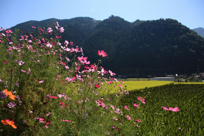 b0119190_2144544.jpg