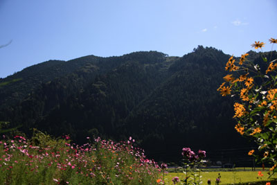 b0119190_2152945.jpg