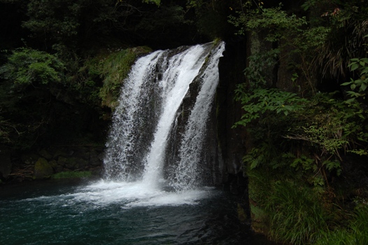 d0153294_11393910.jpg