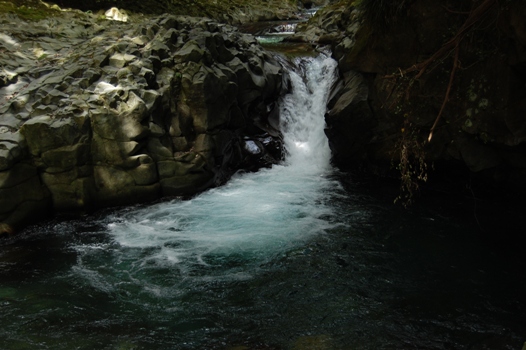 d0153294_11422987.jpg