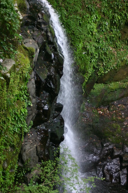 e0061694_8464027.jpg