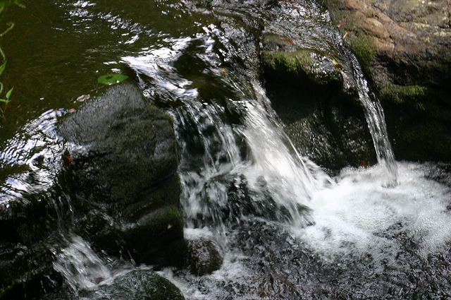 e0061694_850710.jpg