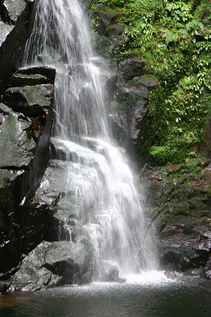 e0061694_856933.jpg