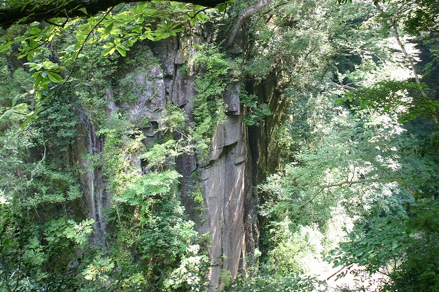 e0061694_8582667.jpg
