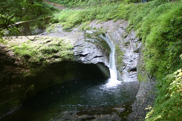 e0061694_859466.jpg