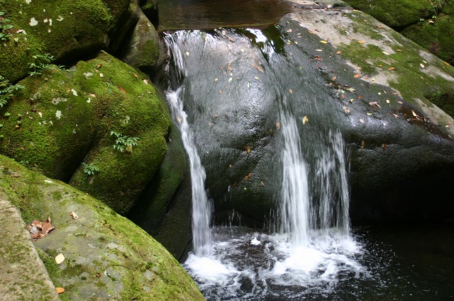 e0061694_912498.jpg