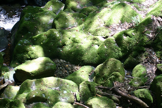 e0061694_9142596.jpg