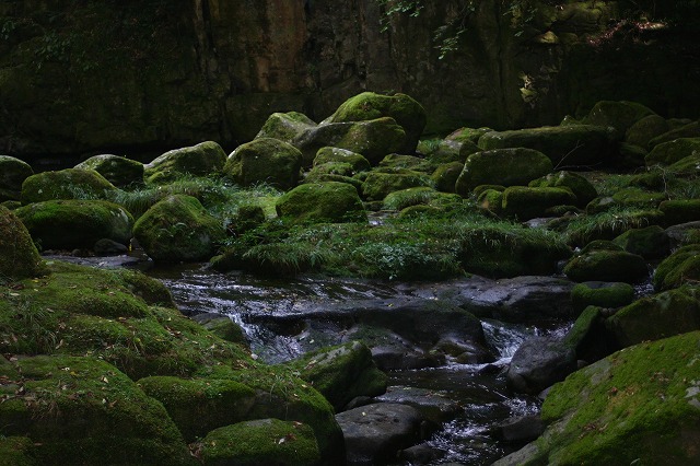 e0061694_9194865.jpg