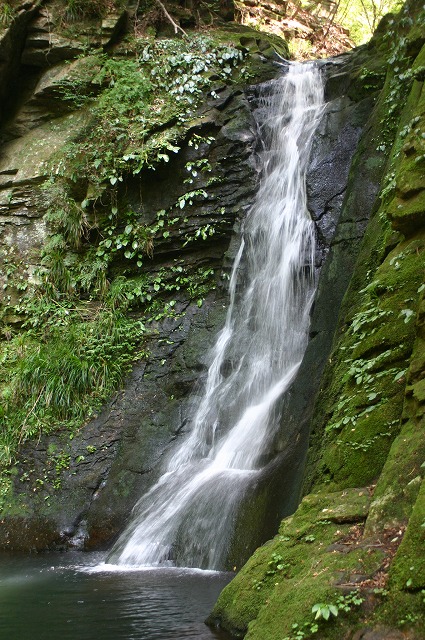 e0061694_925626.jpg