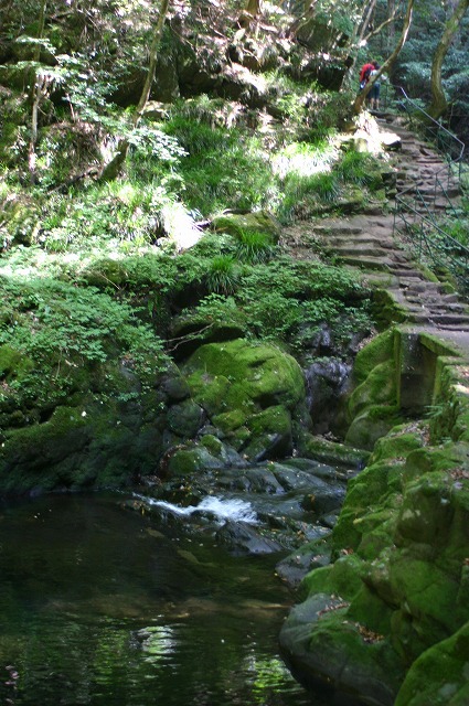 e0061694_981428.jpg