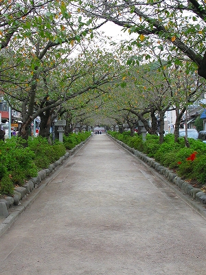 f0181394_1511947.jpg