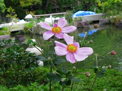 f0181394_15165770.jpg