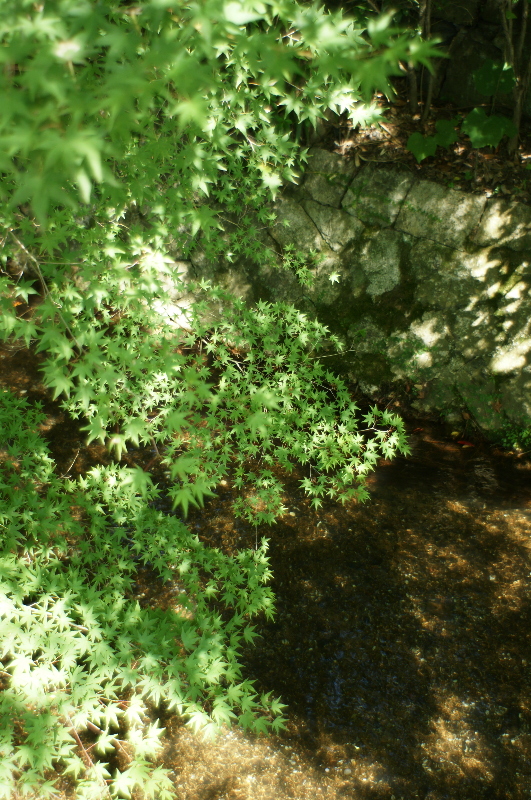 b0155395_0245331.jpg