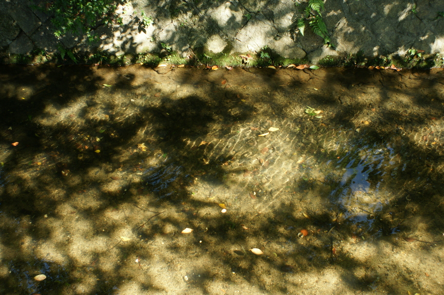 b0155395_0441018.jpg