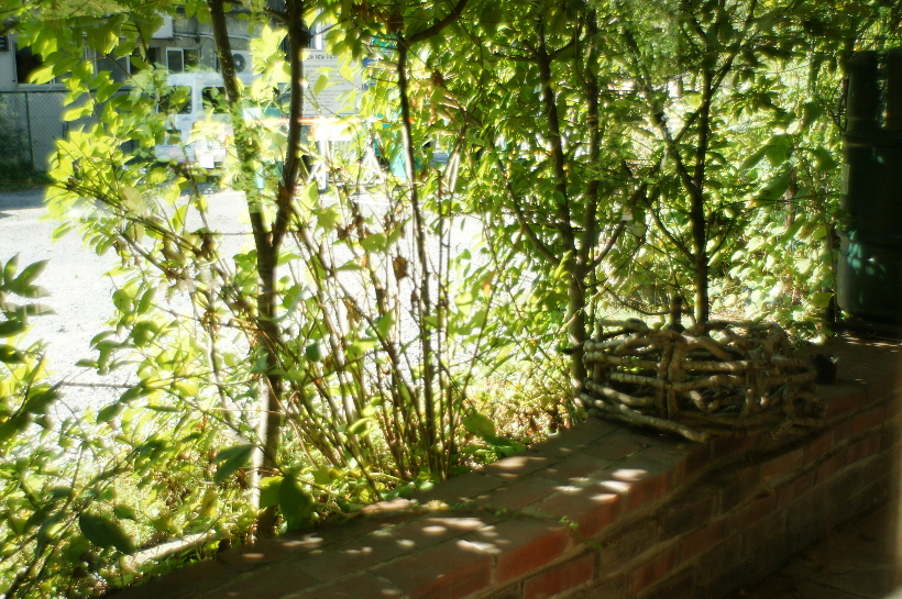 b0155395_123146.jpg