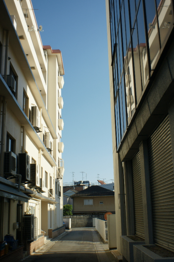 b0155395_20241289.jpg