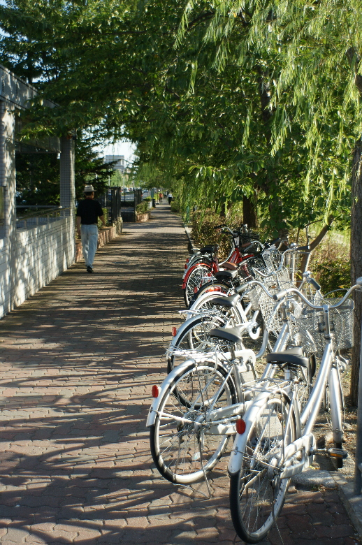 b0155395_20271631.jpg