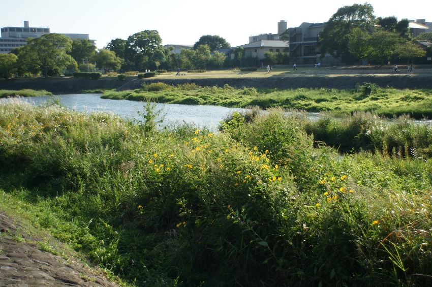 b0155395_20383548.jpg