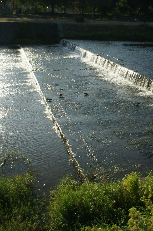 b0155395_21521440.jpg