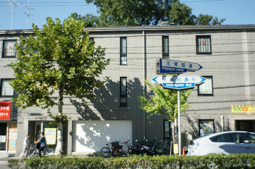 b0155395_736397.jpg