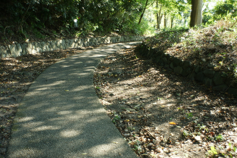b0155395_88463.jpg